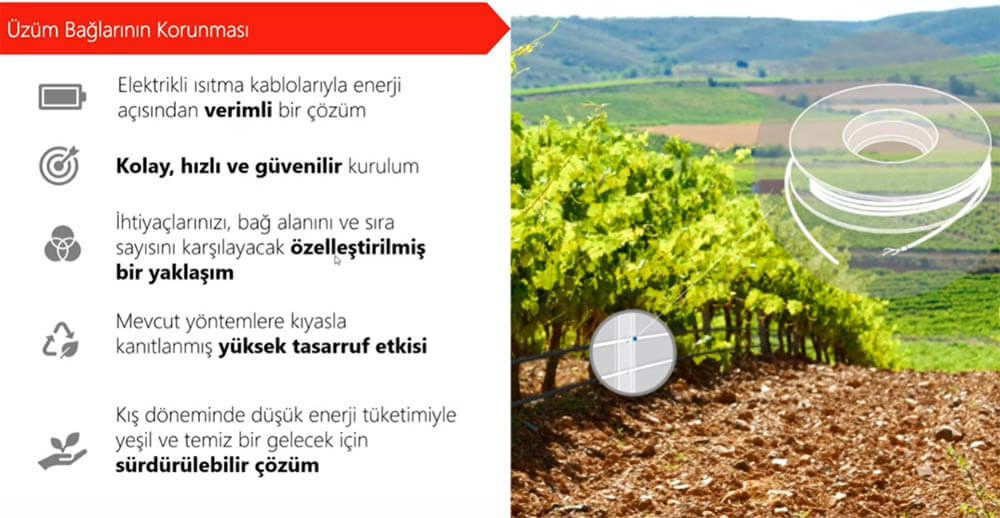 üzüm ağacı don önleme kablosu