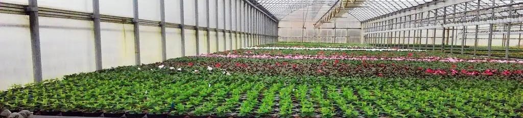 vivol ısıtma , fidelik ısıtma , tohum ısıtması